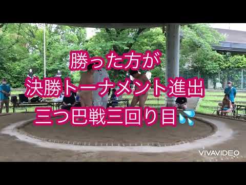 【わんぱく相撲】神奈川県予選💪小学6年生男子リーグ予選三つ巴戦、決勝トーナメントPartII😃2022.6.12(日)【葵相撲道場】