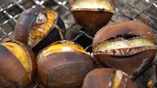 【秋のおつまみ】七輪で香ばしい焼き栗、日本酒のおつまみの作り方【七輪BBQ料理】Roast chestnuts