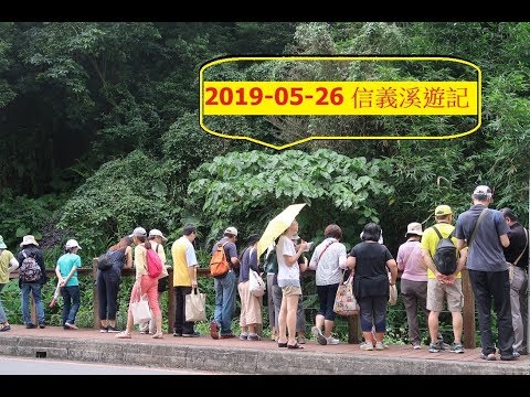 2019 05 26 信義溪遊記