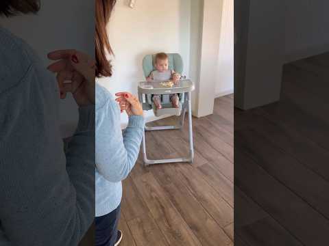 Looking for the best Grandparent High Chair? Check out the Inglesina My Time foldable high chair.