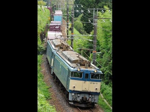 中央西線81レ　原色重連　EF64-31+34　09/08/08