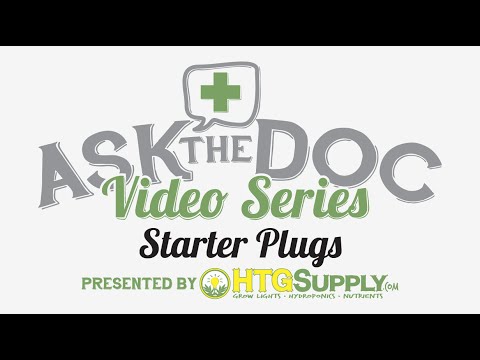 Seed Starter Plugs: Ask The Doc