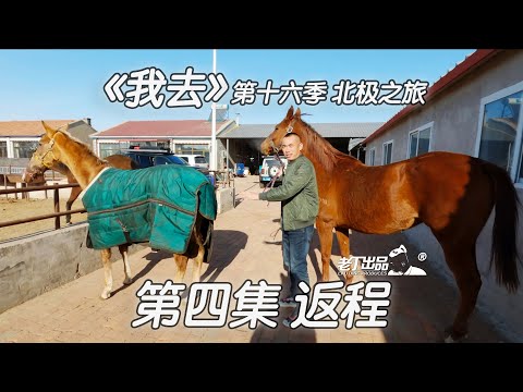 《我去》第十六季 《北极之旅》第四集 返程 丰田兰德酷路泽 铁骑02 牧马人 坦克300 老丁出品