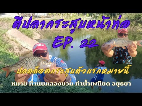 ปลดล็อคปลากระสูบหมายนี้ ตีกระสูบหน้าท่อ EP.22 หมายทำนบคลองขวดและหมายท่าน้ำเพนียดอยุธยา