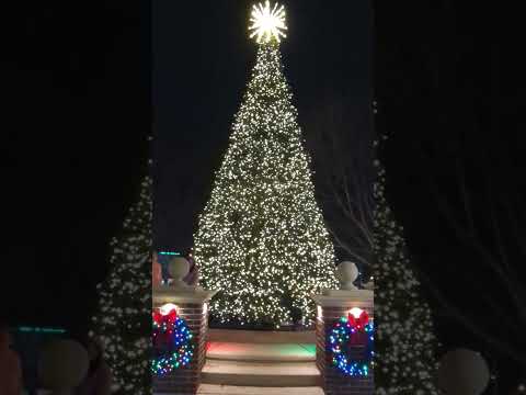 Impressive color-changing Christmas tree in downtown Cleveland #christmastree #christmaslights