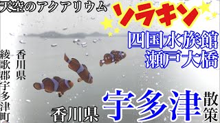 【香川県・宇多津散策】四国水族館と天空のアクアリウム「ソラキン」に行ってみた　2021年5月15日