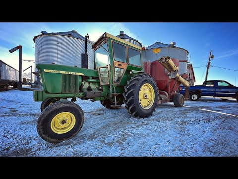 Winter Chores on the Farm - Feeding Cows with the JCB Teleskid