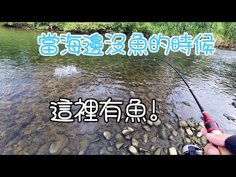 當海邊沒魚的時候，該是去基隆河邊看看老朋友們了，用了幾種假餌嘗試，反應很有趣，竟然也有大傢伙來咬~ #LPGM5 #基隆河 #溪釣 #路亞 #休閒釣