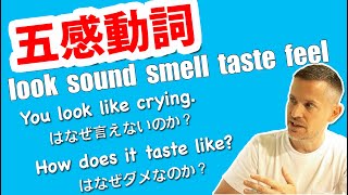 英語の”五感動詞”look sound smell taste feelのすべて（わかりやすい英文法）