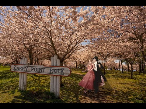 🇨🇦Explore! Garry Point Park, Richmond, BC, Canada |255 Cherry Trees Blooming |(360° VR Virtual Tour)