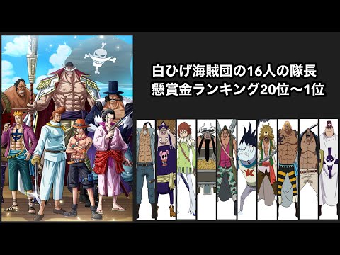 【ONEPIECE】【ワンピース】白ひげ海賊団16人の隊長の懸賞金ランキング20位〜1位を予想知って行きます。