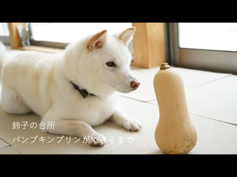 【パンプキンプリンができるまで】バターナッツカボチャで作るパンプキンプリン