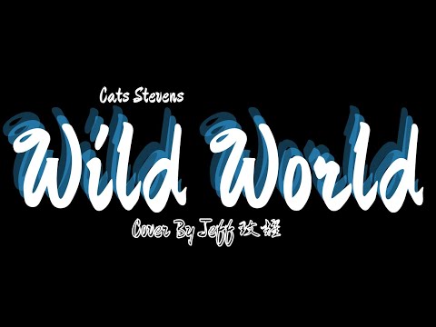 Wild World cover by Jeff文耀 （原唱：Cats Stevens）