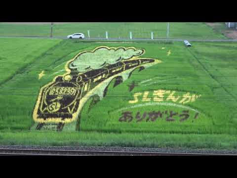 SL銀河の田んぼアート