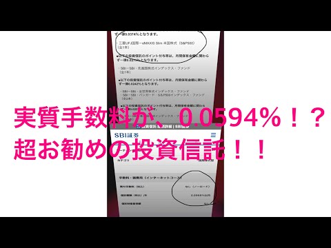 実質の年間信託報酬手数料が0.0594%！？　めっちゃお得な投資信託の商品を紹介！！

#インデックス投資