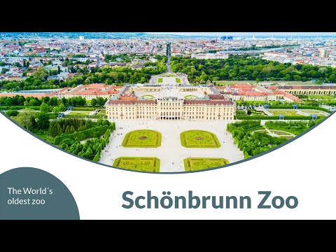 Schönbrunn Zoo -The World´s oldest zoo