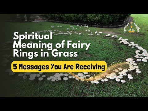 Spiritual Meaning of Fairy Rings in Grass – 5 Messages You Are Receiving