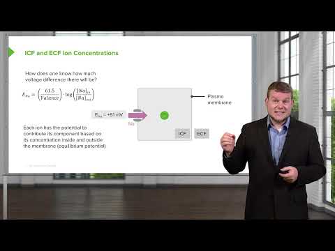 Extracellular Fluid ECF & Intracellular Fluid ICF