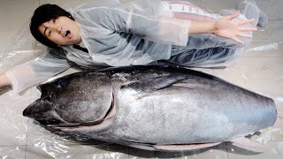 【Largest Ever】I tried to process 100 kilograms of natural tuna.