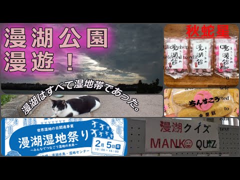 漫湖公園漫遊記（Manko Park）禁断の湿地帯！沖縄県那覇市・豊見城市 #野良猫#那覇#琉球王国#ラムサール条約