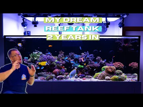 Dream Reef Tank -  The 2 Year Overview