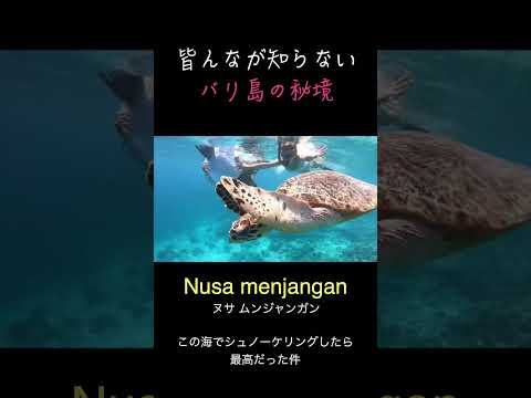 皆んなが知らないバリ島の秘境でシュノーケリングしたら最高だった。#bali #海外移住 #バリ島