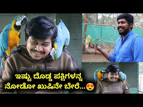 ಈ ಪಕ್ಷಿಗಳಿಗೆ ಕಾಳ್ ಹಾಕೋದೆ ಒಂದು ಮಜಾ...😂 | Kaveri Nisarga Dhama | Likhith Shetty Vlogs |