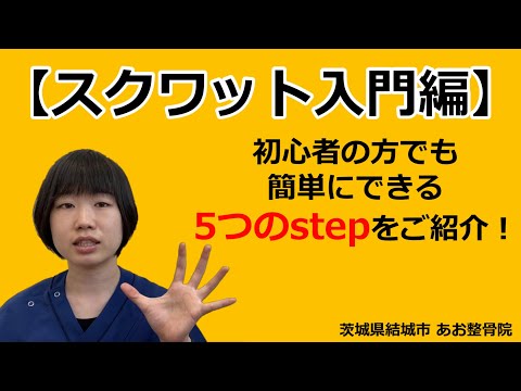 【トレーニング】5つのstepを踏んでスクワットを習得しよう！｜茨城県結城市 あお整骨院