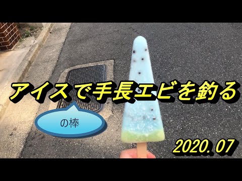 アイスの棒で手長エビを釣る_2022_07月