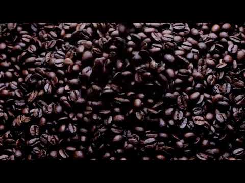 Coffee Beans | Copyright Free Video Footage