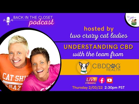 Understanding CBD for Cats | Two Crazy Cat Ladies