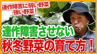 家庭菜園や農園の秋冬野菜栽培で連作障害を起こさない秘訣！栽培管理のコツと秋冬野菜の育て方！【農家直伝】