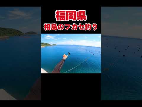 博多からすぐいける離島が釣れすぎる#釣り#福岡#九州釣り#相島