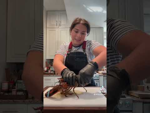 Lobster Fabrication 101 🦞