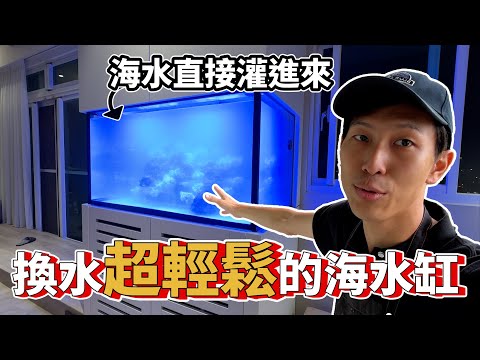 【藍箱水族】換水超輕鬆的海水缸！裝潢規劃案：250公升水塔直接灌！六個月從零到超會養~竹北洪先生