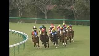 ラインクラフト 2005年 第39回報知杯フィリーズレビュー(GII)  (優勝馬：ラインクラフト) (実況：ラジオNIKKEI)