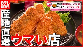 【専門店】“黄金アジ”の絶品「アジフライ定食」はサクふわ～！  自慢の食材は故郷の海から山から…産地直送のウマい店『every.特集』