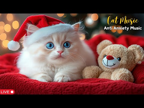 Christmas Piano Music for Cats: Calm Anxiety, Sleep Better & Enjoy the Holiday Peacefully 😺🎄