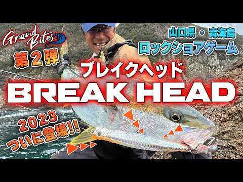 ブレイクヘッド×ヒラマサ　青海島編