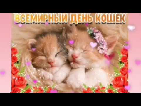 С Днем кошек мои кошечки это поздравление для вас !