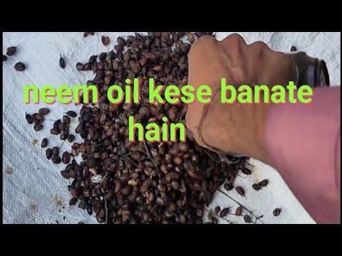 neem oil kese banate hai     #neemoil #kisan #govind #govinpatidar #agriculture #farming