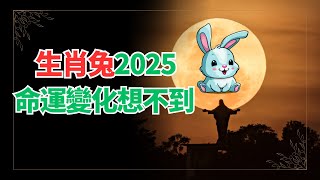 生肖兔，2025年運勢想不到！你居然有如此驚人的變化！命運轉折點出乎意料！ #2024年屬兔運程 #2024生肖兔運勢 #2024属兔运势 #2024属兔运程