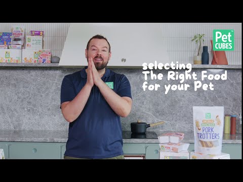 How to select the best pet food | 5 essential steps for your selection process