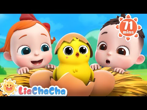 Little Chicks Song 🐤 | 1 HOUR of Farm Animal Songs | Kids Songs & Nursery Rhymes | LiaChaCha