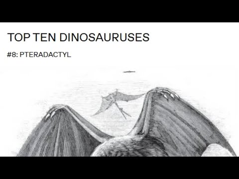 Top Ten Dinosauruses - Number 8 - Pterodactyl