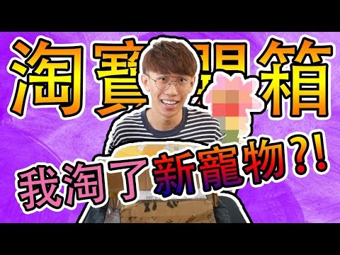 【淘寶開箱 ep.1】我淘了新寵物？！來幫它取名！| TEH佬