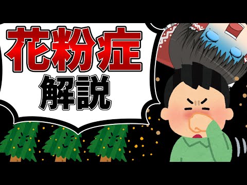 花粉症と薬の小話【ゆっくり解説】