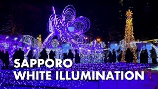 【Hokkaido Sapporo City】Sapporo White Illumination