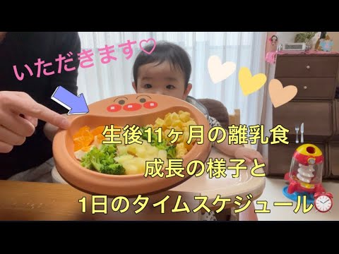 👶生後11ヶ月の離乳食の様子👶ごはんの量やミルク量についてもご紹介❣️