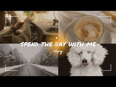 Weekend vlog with dior (poodle love) 🐩 + blessed time together